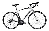 Best For Endurance: Tommaso Imola Endurance Aluminum Road Bike Review