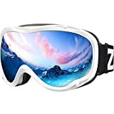 Portable: Lagopus Ski Goggle Review