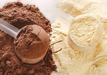 Best Unflavored Protein Powder