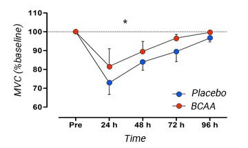 BCAAs Can Improve Recovery Time