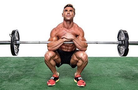 Zercher Squats