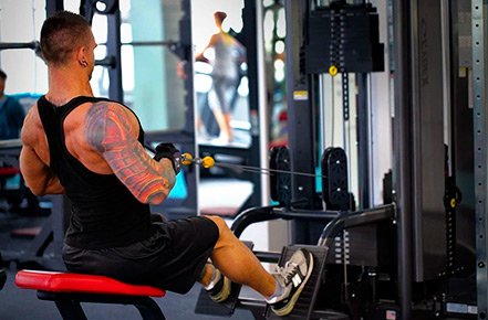 Best Seated Cable Row Alternative Exercises You Must Try